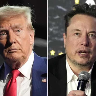 Musk says some of his posts about Trump 'went too far'