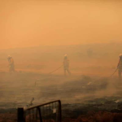 'We started a fire': ADF criticised over major blaze