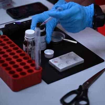 Pill testing clinic set for entertainment hotspot