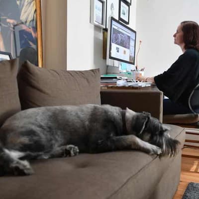 Union fears rights threatened in work-from-home review