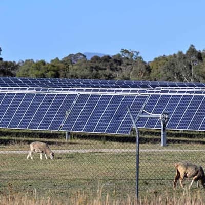 Sunny outlook: big solar farms given tick by neighbours