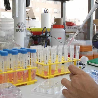 Scientists turn to AI to crack the green ammonia riddle