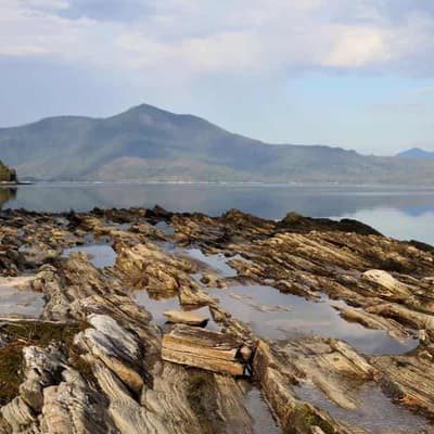 Second wind for long-promised nature law reforms