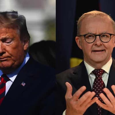 Trump didn't call PM 'Airbus Albanese' in Truth Social post