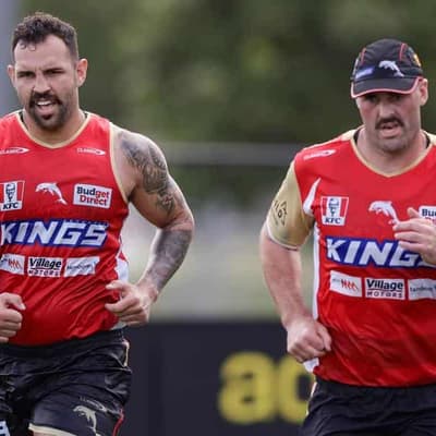 Injured Dolphins ready to rock Wayne's world: Nicholls