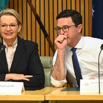 Ley pledges 'alternatives Australians can believe in'