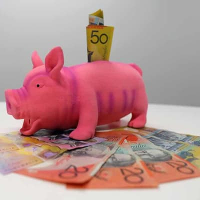 Labor's pork-barrelling answer managed 'effectively'