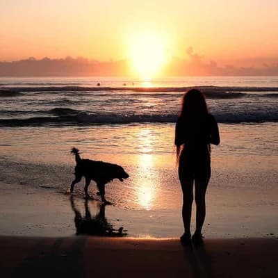 Emission targets on track but nature in 'deep trouble'