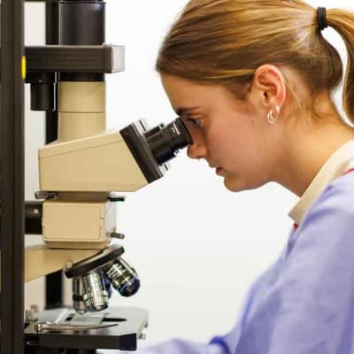 Career blocks for female scientists put under scrutiny