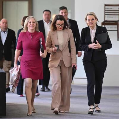 'Subverting democracy': Liberal hits out at quota push