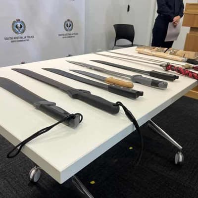 Machetes and swords get the chop as new laws begin