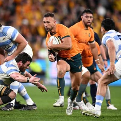 Wallaby vent: 'Coaches change every freaking two years'