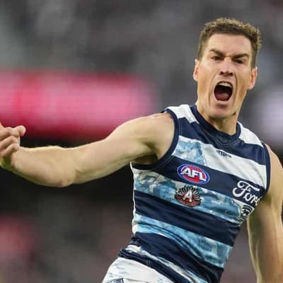 Veteran Cat seeks to add weapons in flag pursuit