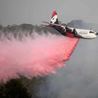 US firefighters' widows sue over 'tragic' plane crash