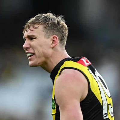 Tiger's lengthy ban amid fresh AFL tribunal precedent
