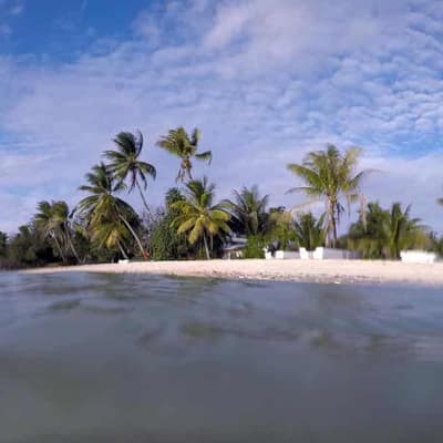 Tuvalu downplays claims its citizens want out