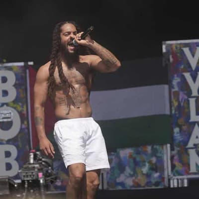 Aust minister has not 'approved' Bobby Vylan visa after IDF chant at Glastonbury