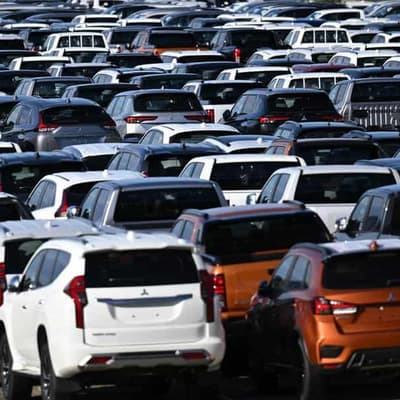 Utes dominate vehicles sales and push BYD past Tesla