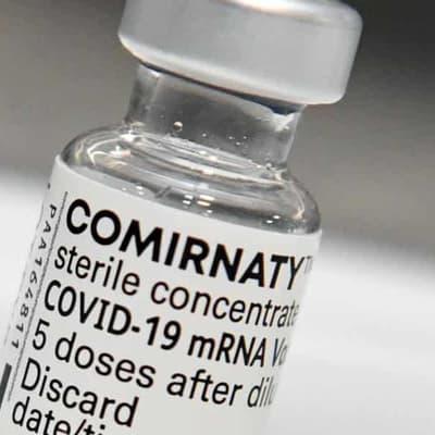 No, German study did not blame mRNA vaccines for excess pandemic deaths