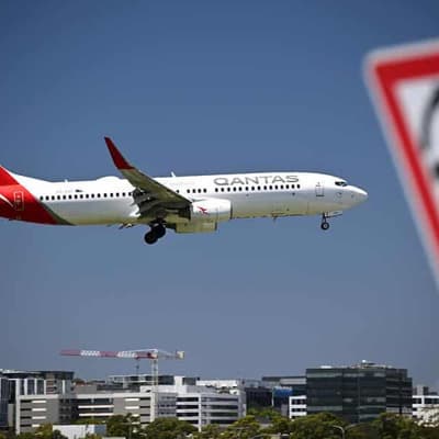 Qantas's two-day hack delay fuels customer scam fears