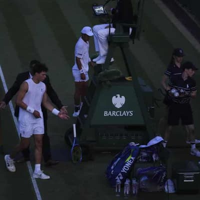 Saved by the dark: Rinky's great Wimbledon escape