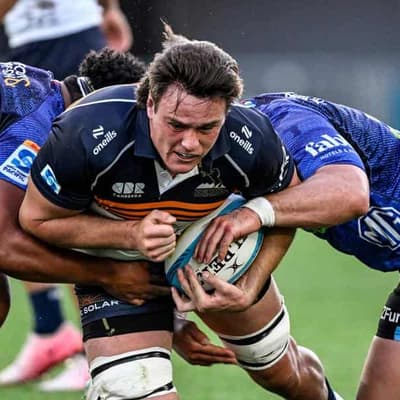 Brumbies brothers join forces in bid to be Lion tamers