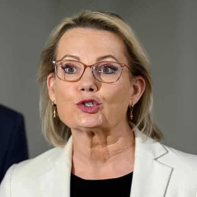 Libs admit Chinese diaspora failings on listening tour