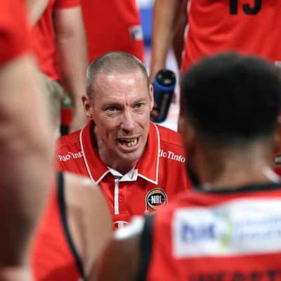 Wildcats grow French connection with Next Star signing