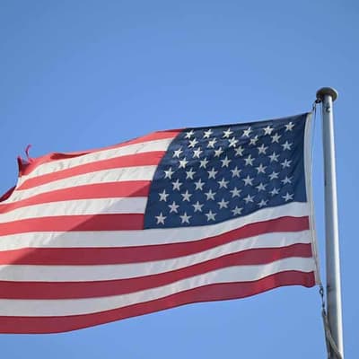 'Not all bad news': the Aussie upside of Trump tariffs