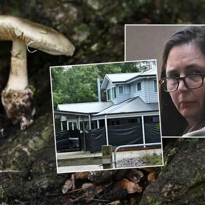 Mushroom cook murder convictions 'appeal-proof': expert