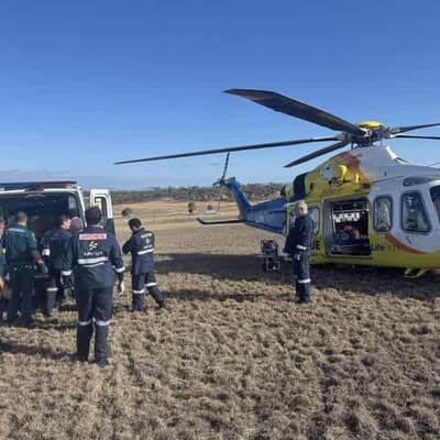 Lion 'just playing' when it attacked woman: zoo owner