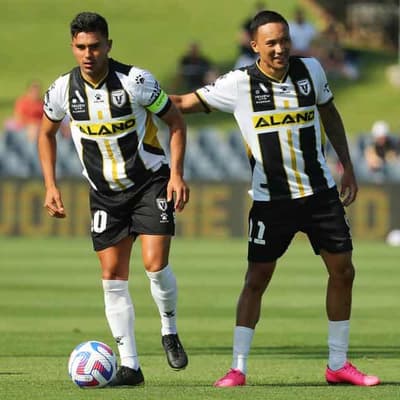 Former A-League stars admit roles in betting scandal