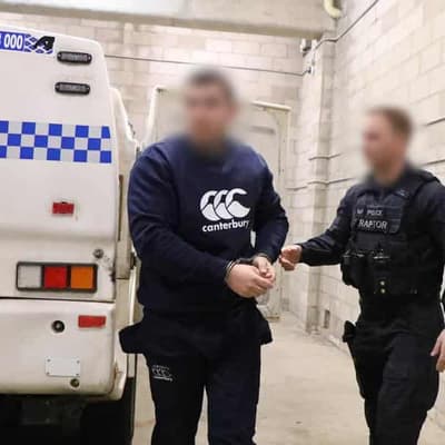 ‘I love you’: accused cat killer’s words to family