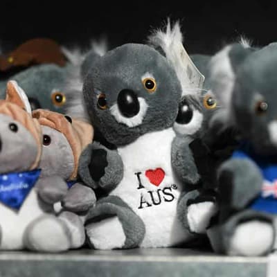 Australia's message to Asian allies worried about Trump