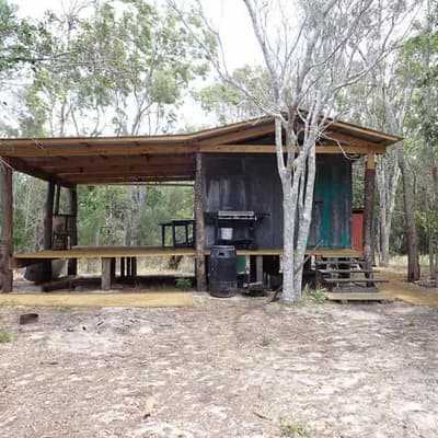 Rangers pounce after trees felled for dodgy island hut