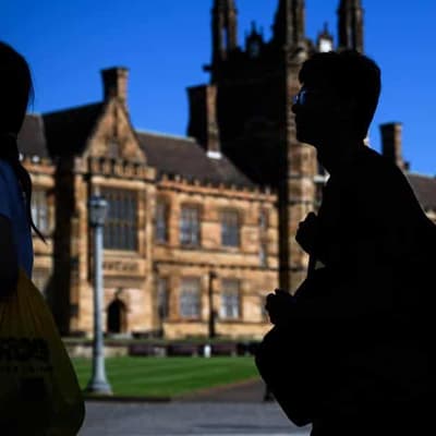 Staff accuse uni boards of toxic culture, being ignored