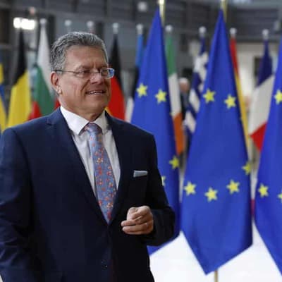 EU trade chief heads to US in bid for tariffs solution
