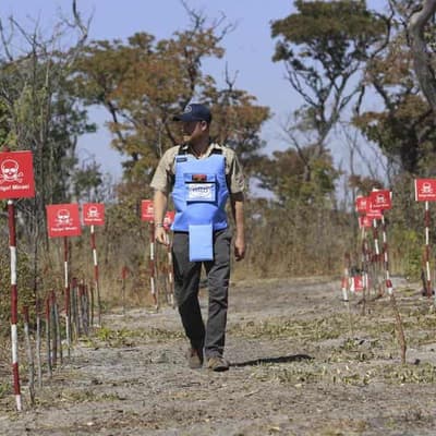 Harry retraces Diana's footsteps through mine field