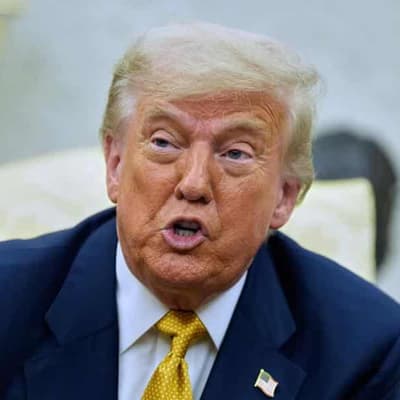 Trump's name on 2003 birthday letter to Epstein: report