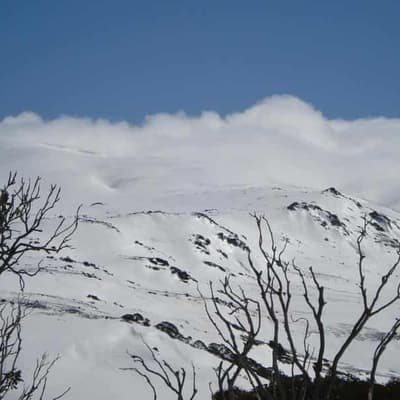 Body found near wreckage of Snowy Mountains plane crash