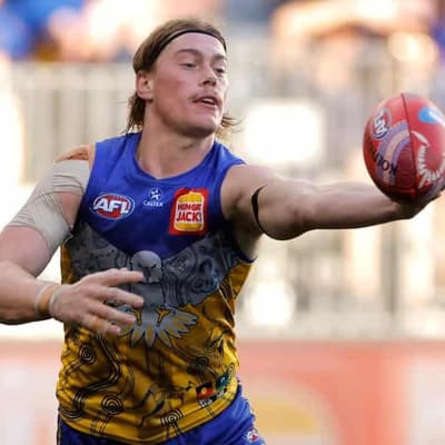 It will be on for young and old: Tigers ready for Reid