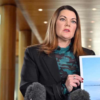 Political leaders 'passing the buck' on algae crisis