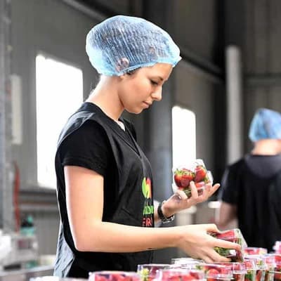 Worker penalty rates to get greater legal protection