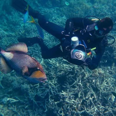 'Ecological grief' a motivator for reef restorers