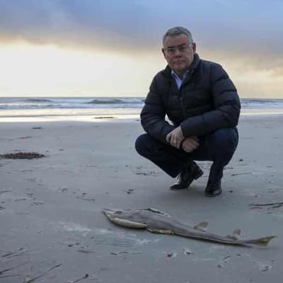 'Incredibly disturbing': federal help for algae crisis