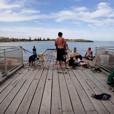 Fears another industry will fall victim to algal bloom