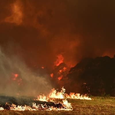 AI-powered, heat-seeking satellites target Aussie fires