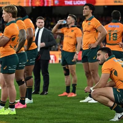 Wounded Wallabies vow to rebound for third Lions Test