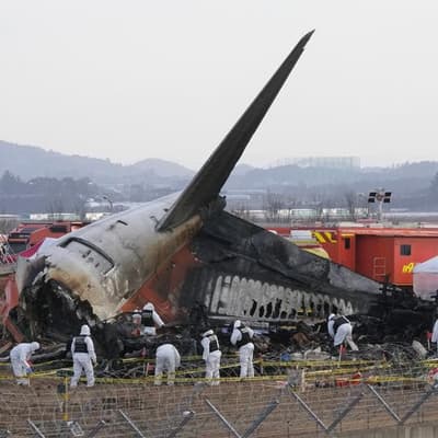 Jeju Air jet 'still had working engine' when it crashed