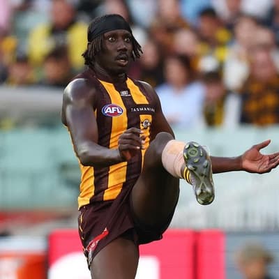 Key Hawk set to return as Lions suffer injury setbacks